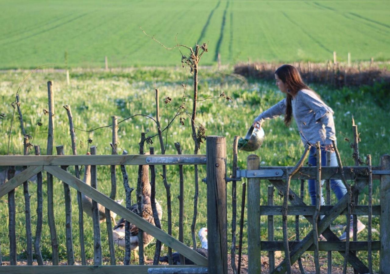 Horhaven B&B Fuglebjerg Экстерьер фото